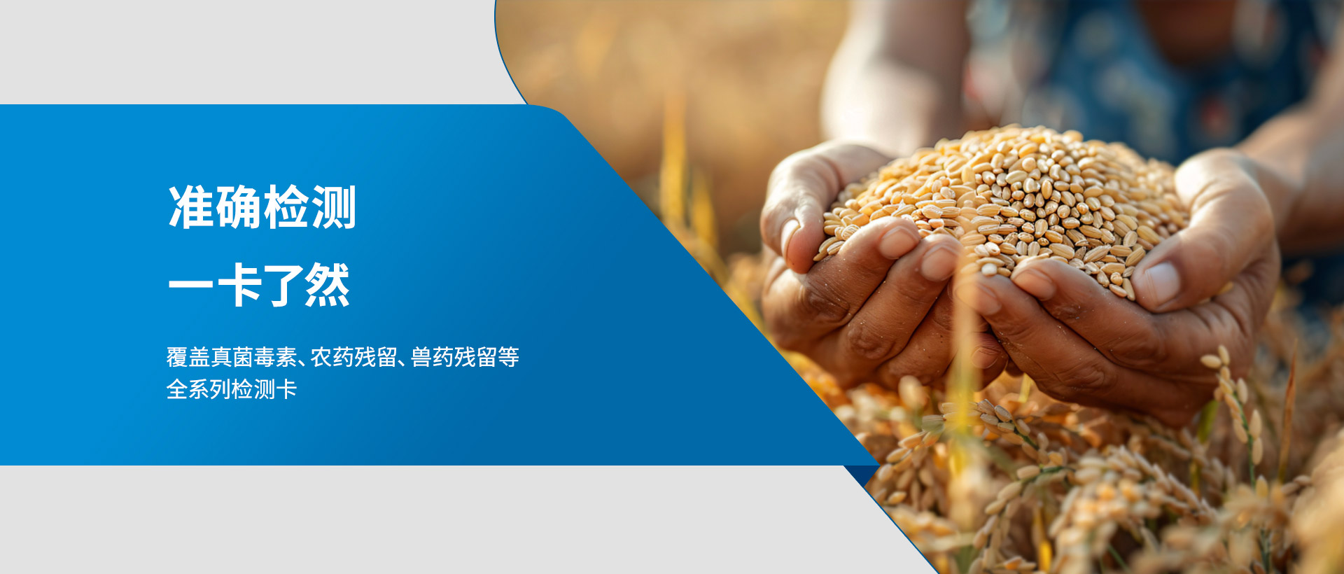 快速檢測卡生產廠家